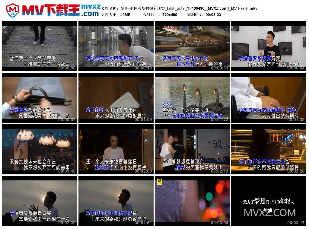 楚奕-手握着梦想握着现实_国语_流行_YF100496